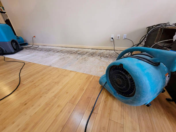 Professional Water Damage Repair technician working in Walpole, ME